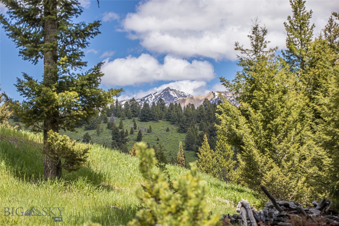 TBD Settlers Loop, Lot 94