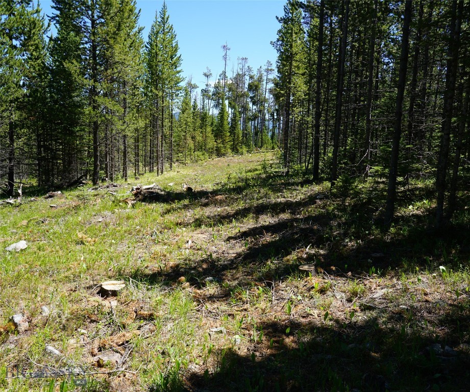 TBD Beaver Creek West