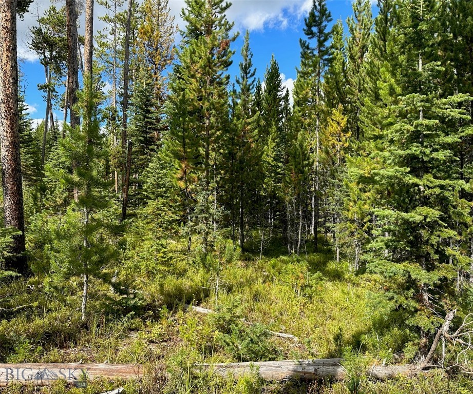 TBD Beaver Creek West