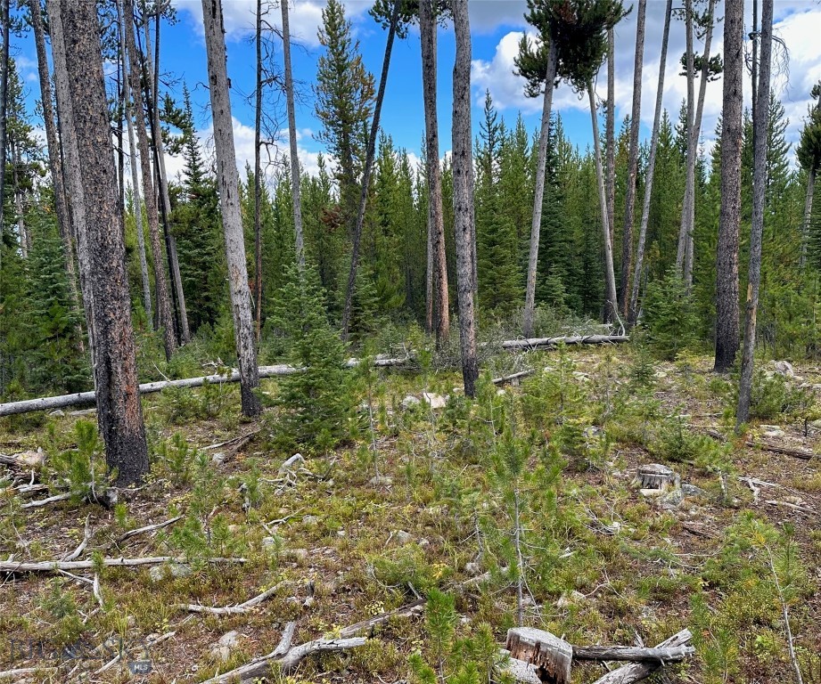 TBD Beaver Creek West