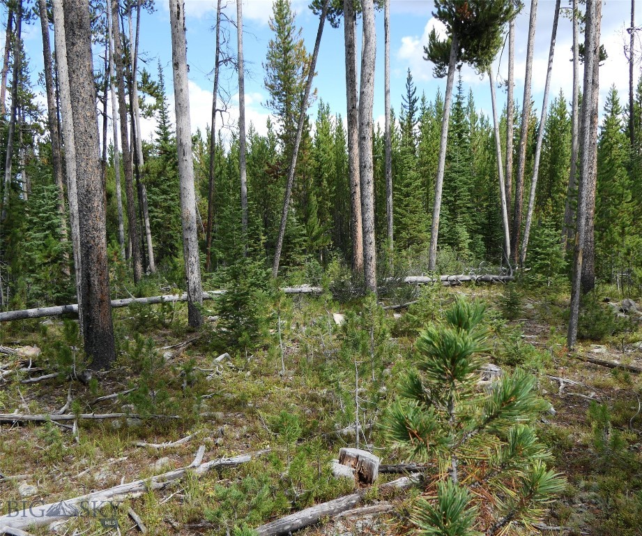 TBD Beaver Creek West