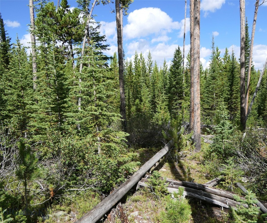 TBD Beaver Creek West