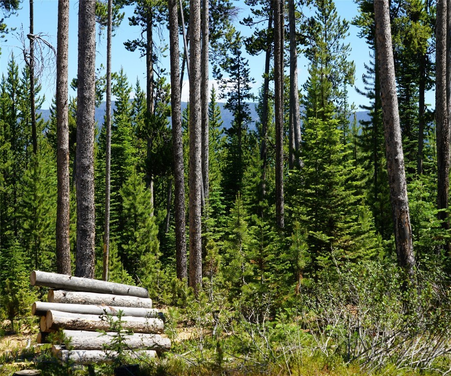 TBD Beaver Creek West