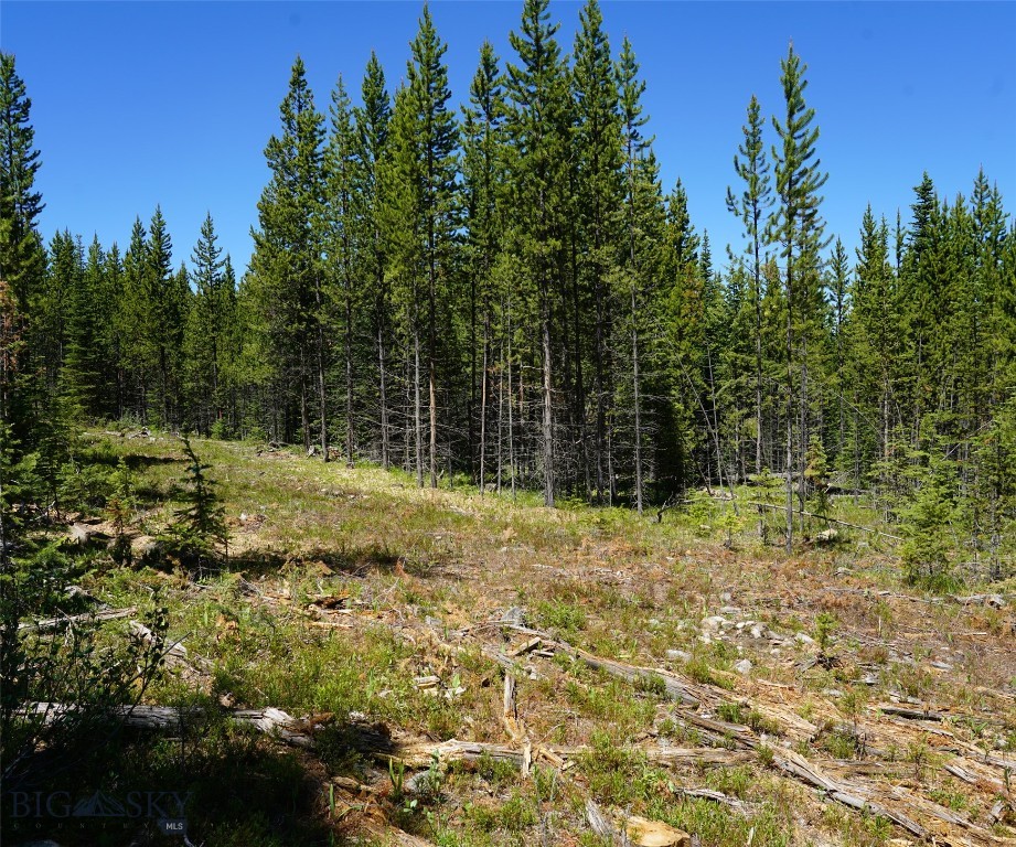 TBD Beaver Creek West