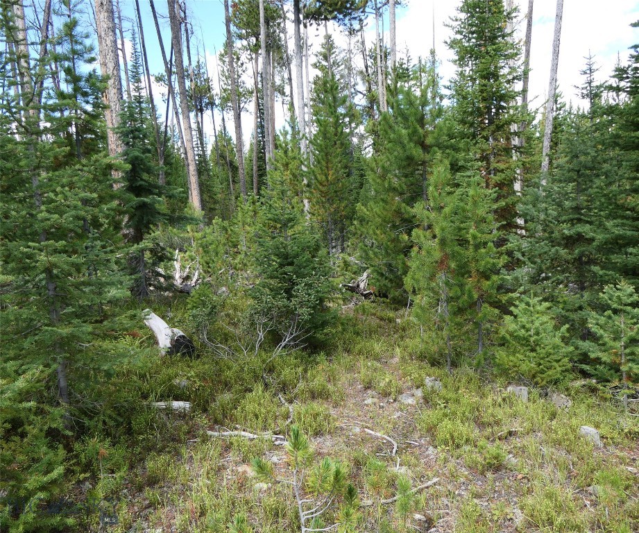 TBD Beaver Creek West