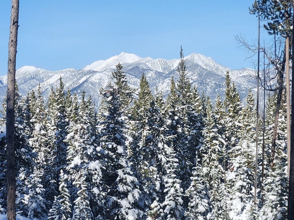 TBD Beaver Creek West