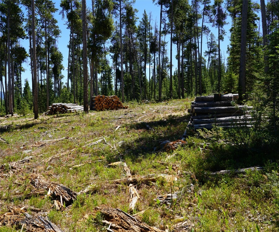 TBD Beaver Creek West