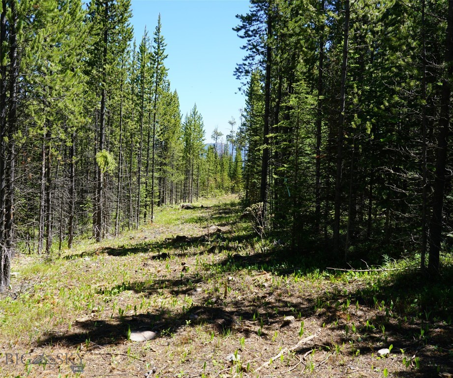 TBD Beaver Creek West