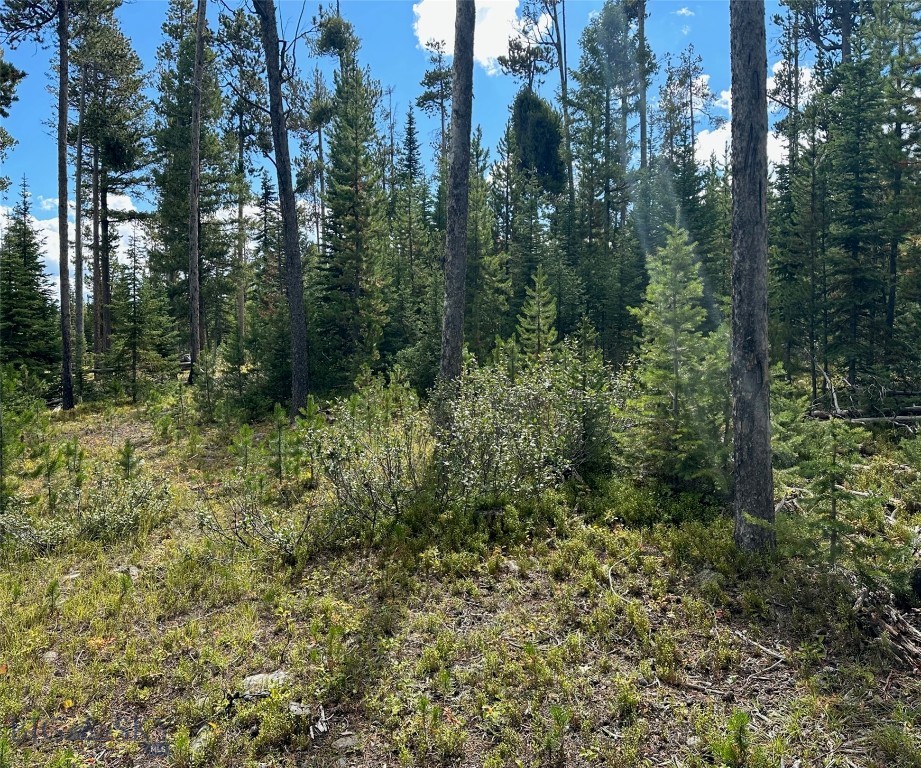 TBD Beaver Creek West