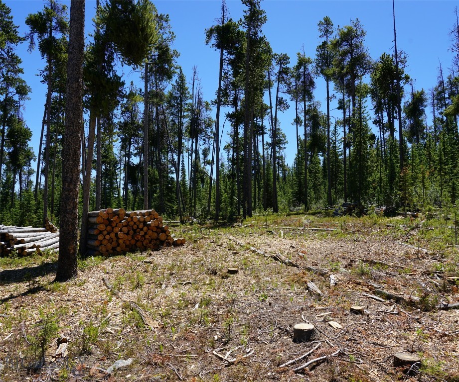 TBD Beaver Creek West