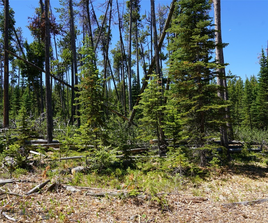 TBD Beaver Creek West