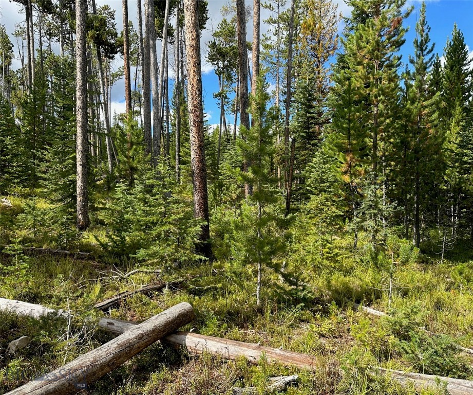 TBD Beaver Creek West