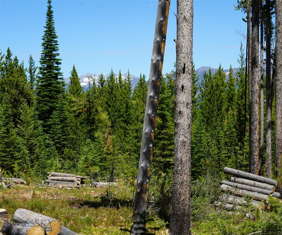 TBD Beaver Creek West