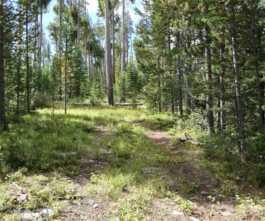 TBD Beaver Creek West