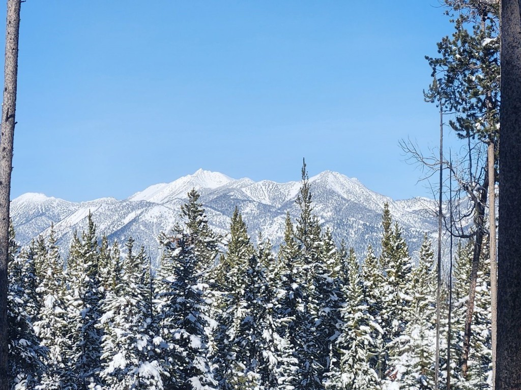 TBD Beaver Creek West