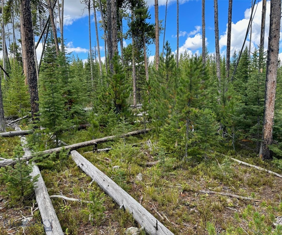 TBD Beaver Creek West