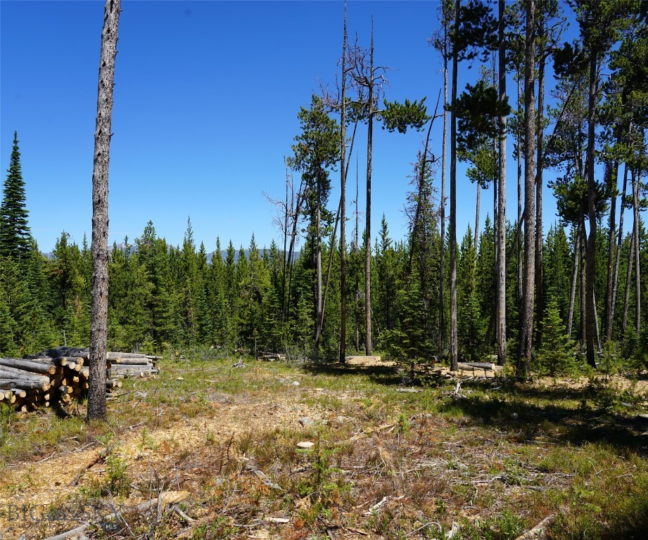 TBD Beaver Creek West