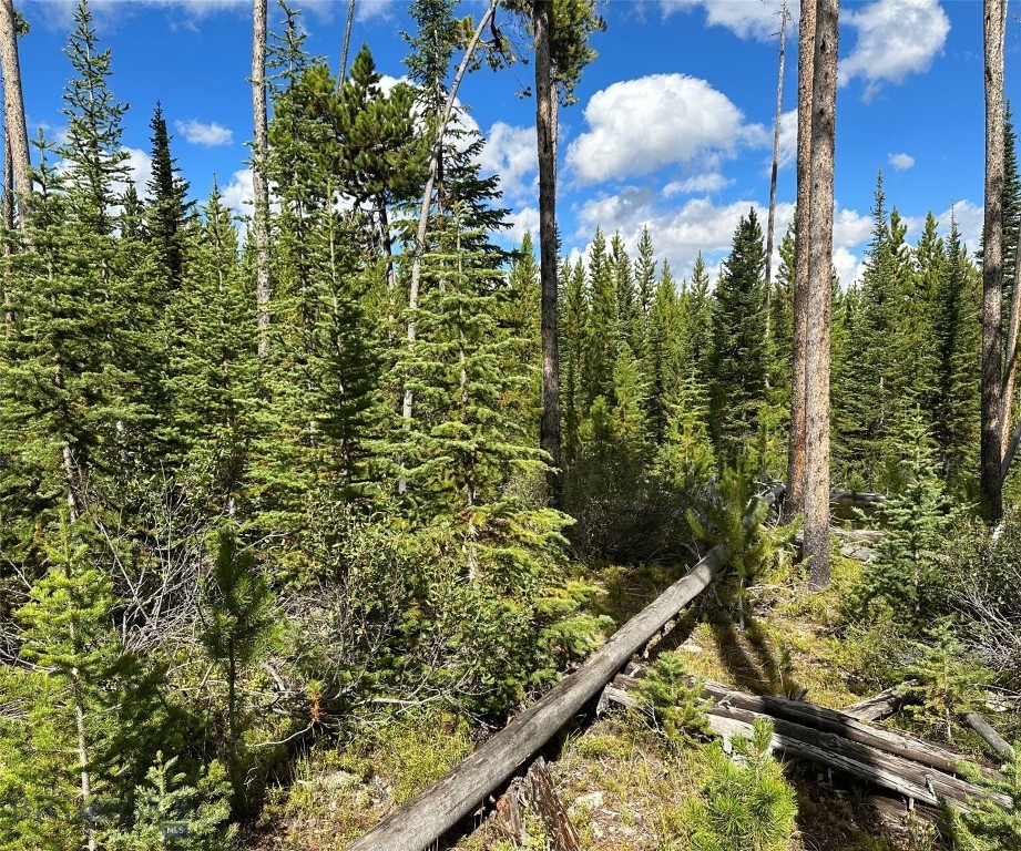 TBD Beaver Creek West