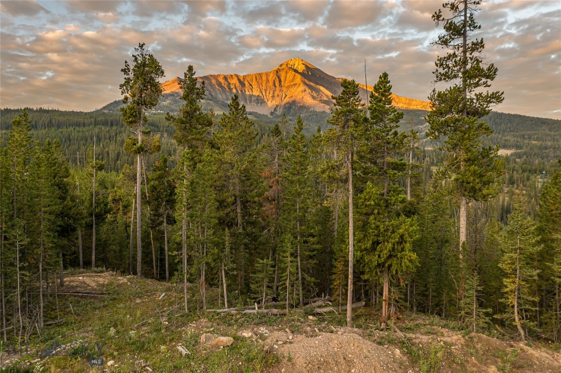 TBD Wildrye Road, Lot 9 Road