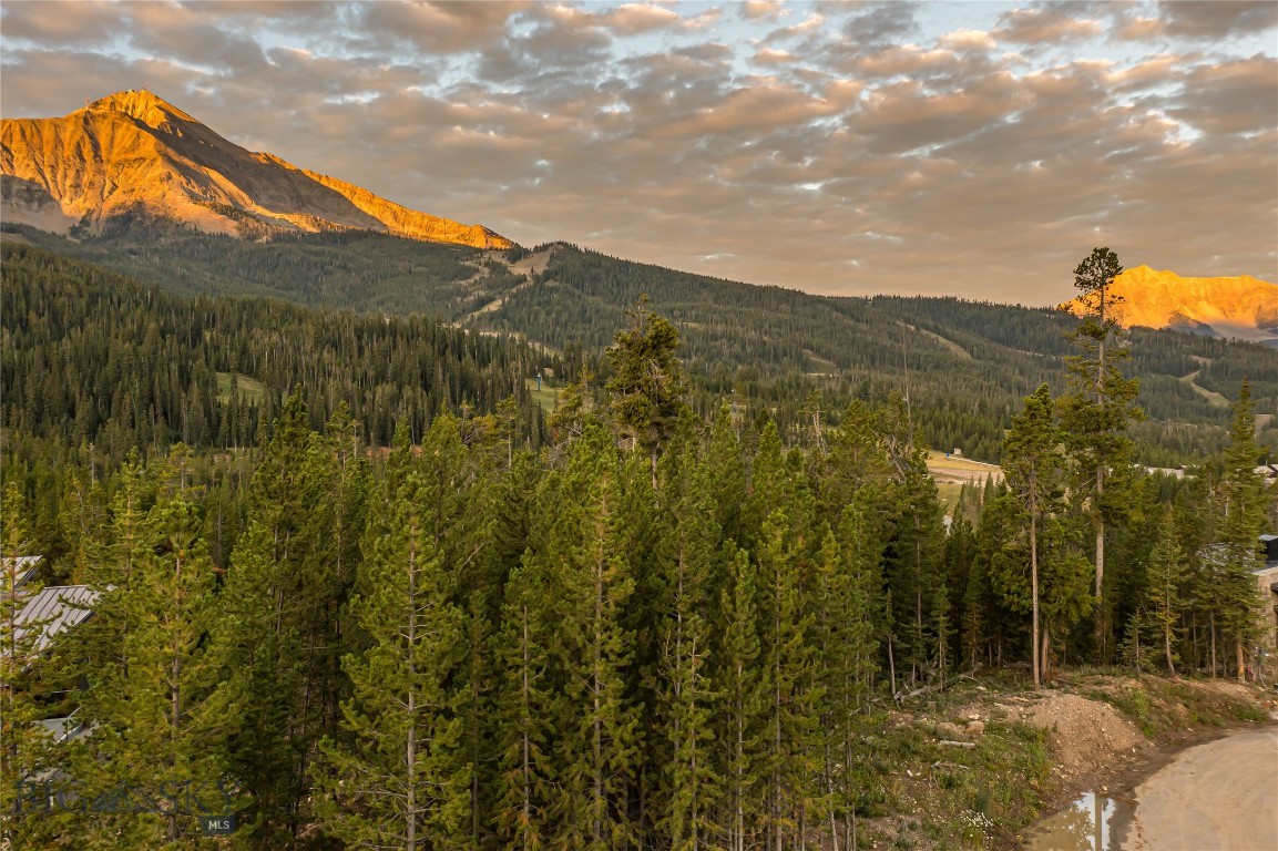 TBD Wildrye Road, Lot 9 Road