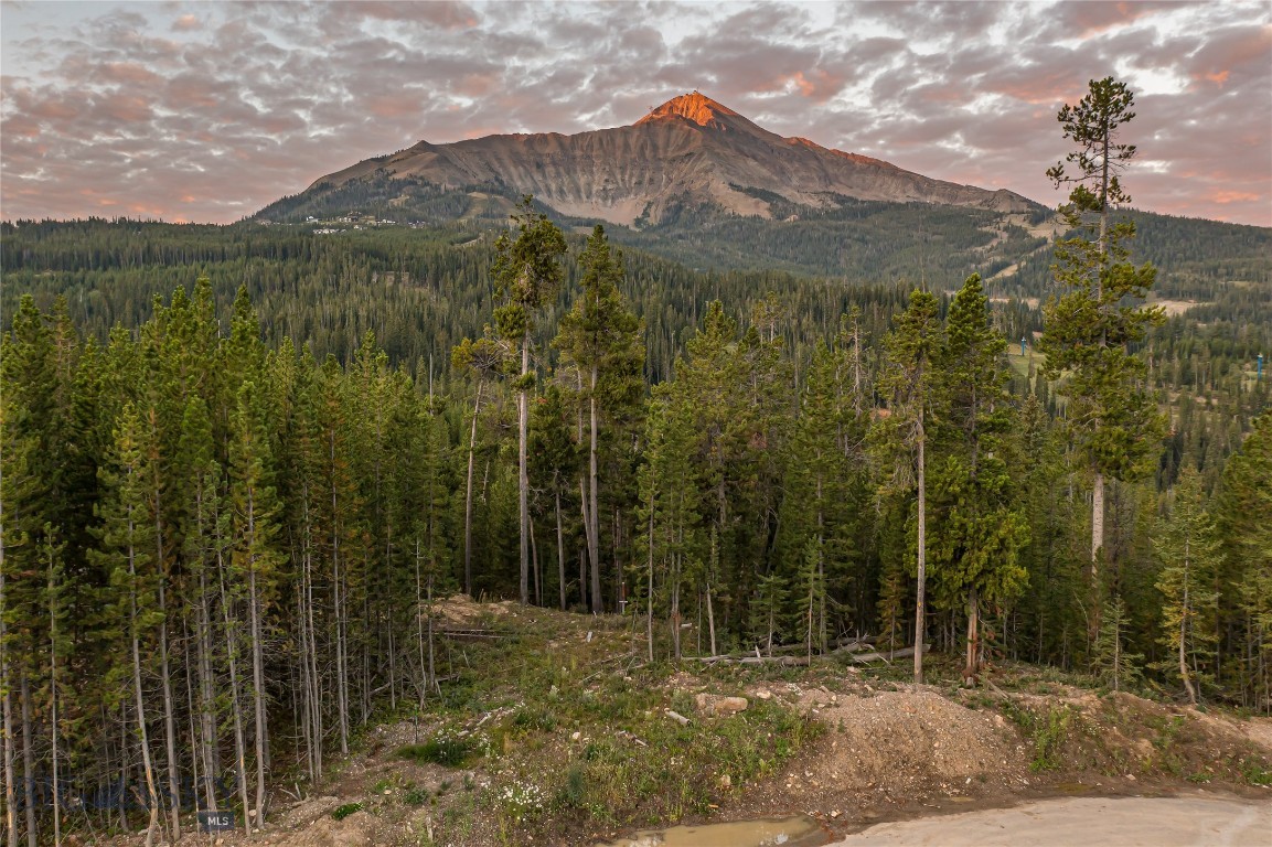 TBD Wildrye Road, Lot 9 Road