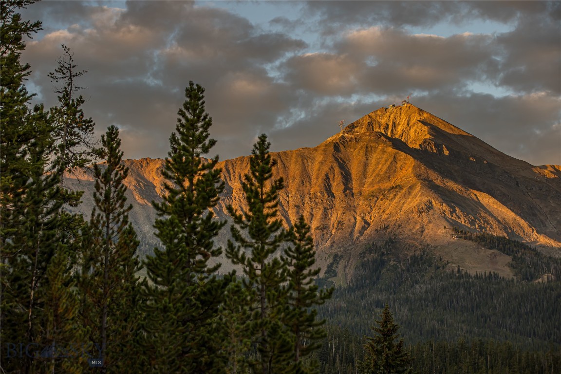 TBD Wildrye Road, Lot 9 Road