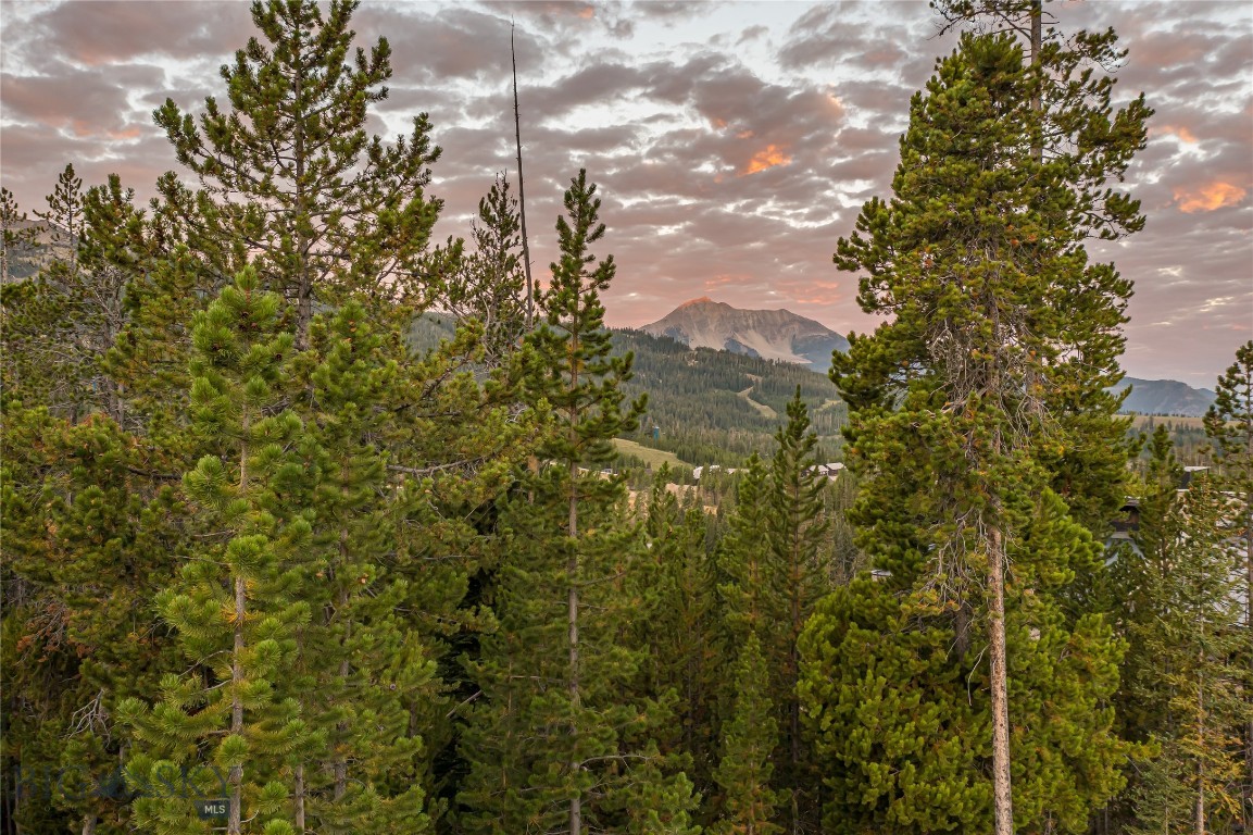 TBD Wildrye Road, Lot 9 Road