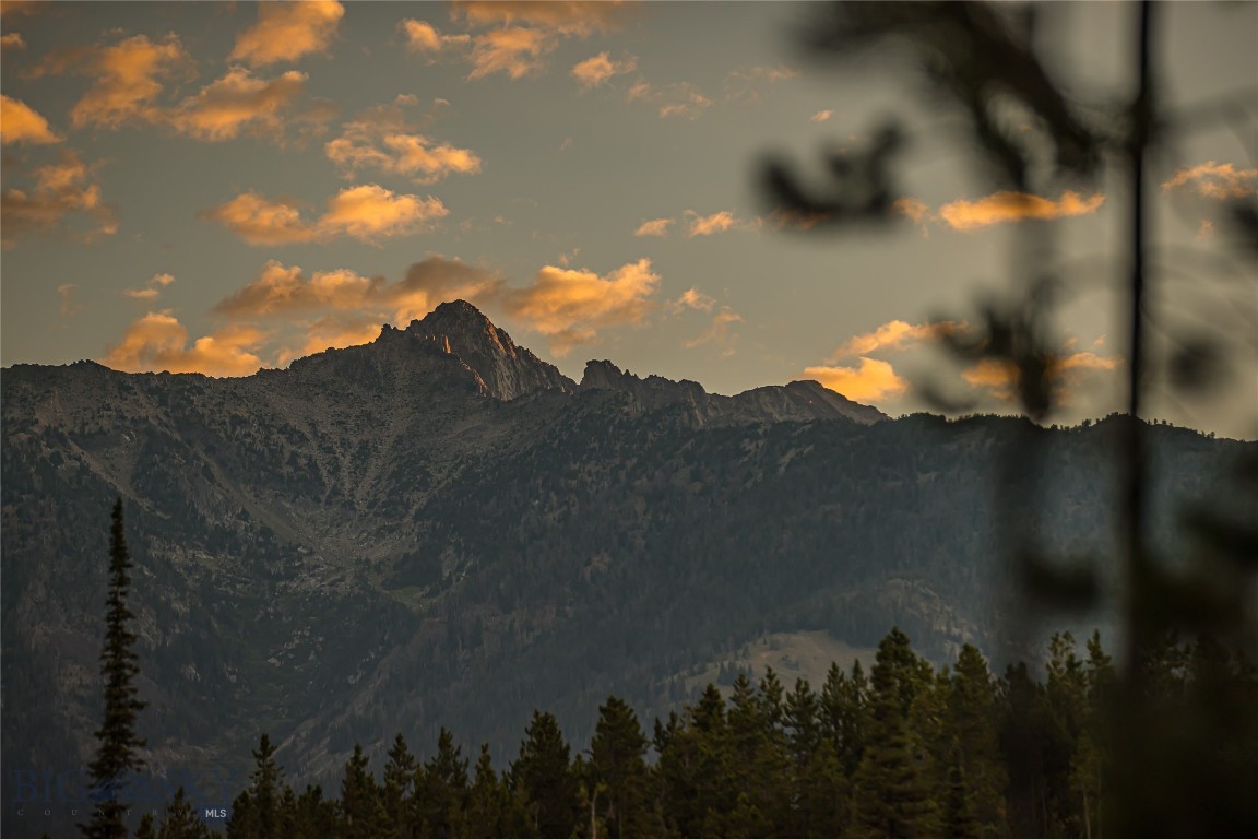 TBD Wildrye Road, Lot 9 Road