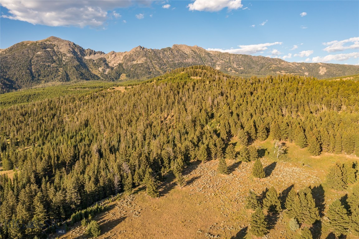 Jack Creek Road, Moonlight Territory Parcel 5