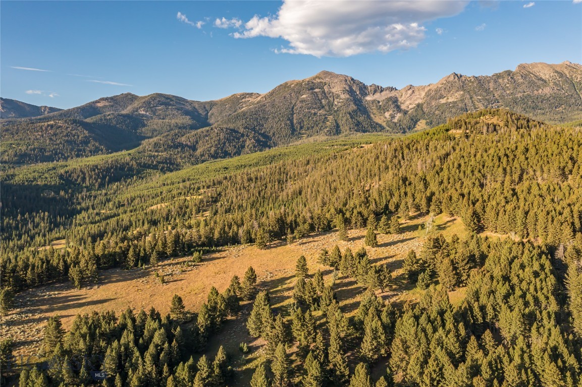 Jack Creek Road, Moonlight Territory Parcel 5