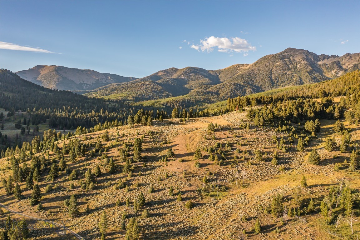 Jack Creek Road, Moonlight Territory Parcel 5