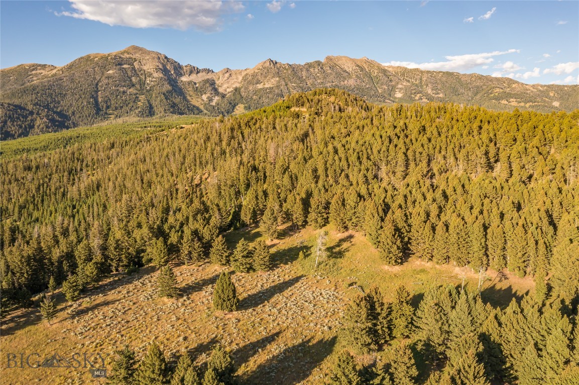 Jack Creek Road, Moonlight Territory Parcel 5