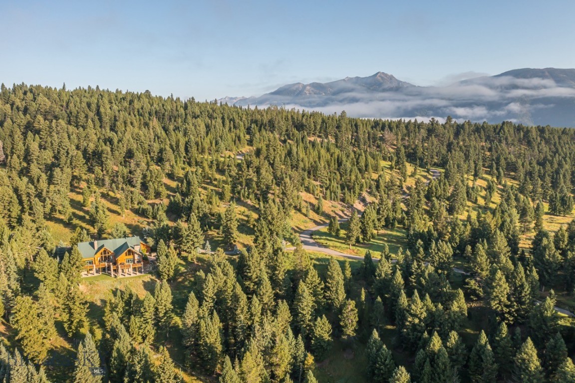 141 Black Wolf Ridge