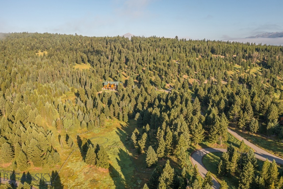 141 Black Wolf Ridge