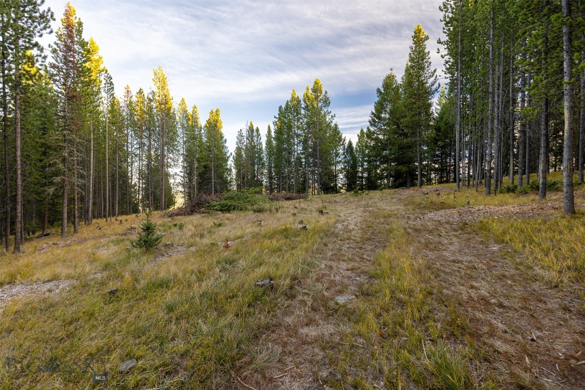 Lot 44 Amber Lily Court