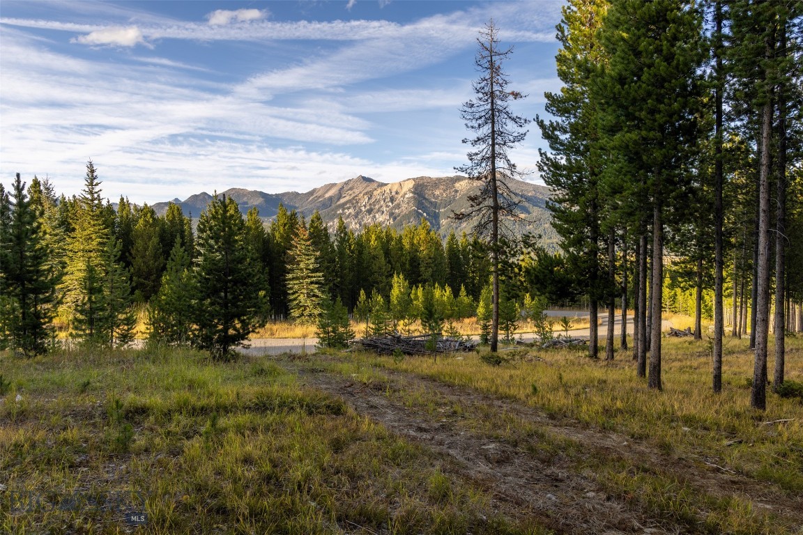 Lot 44 Amber Lily Court