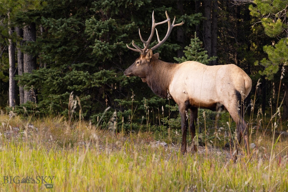 Lot 44 Amber Lily Court