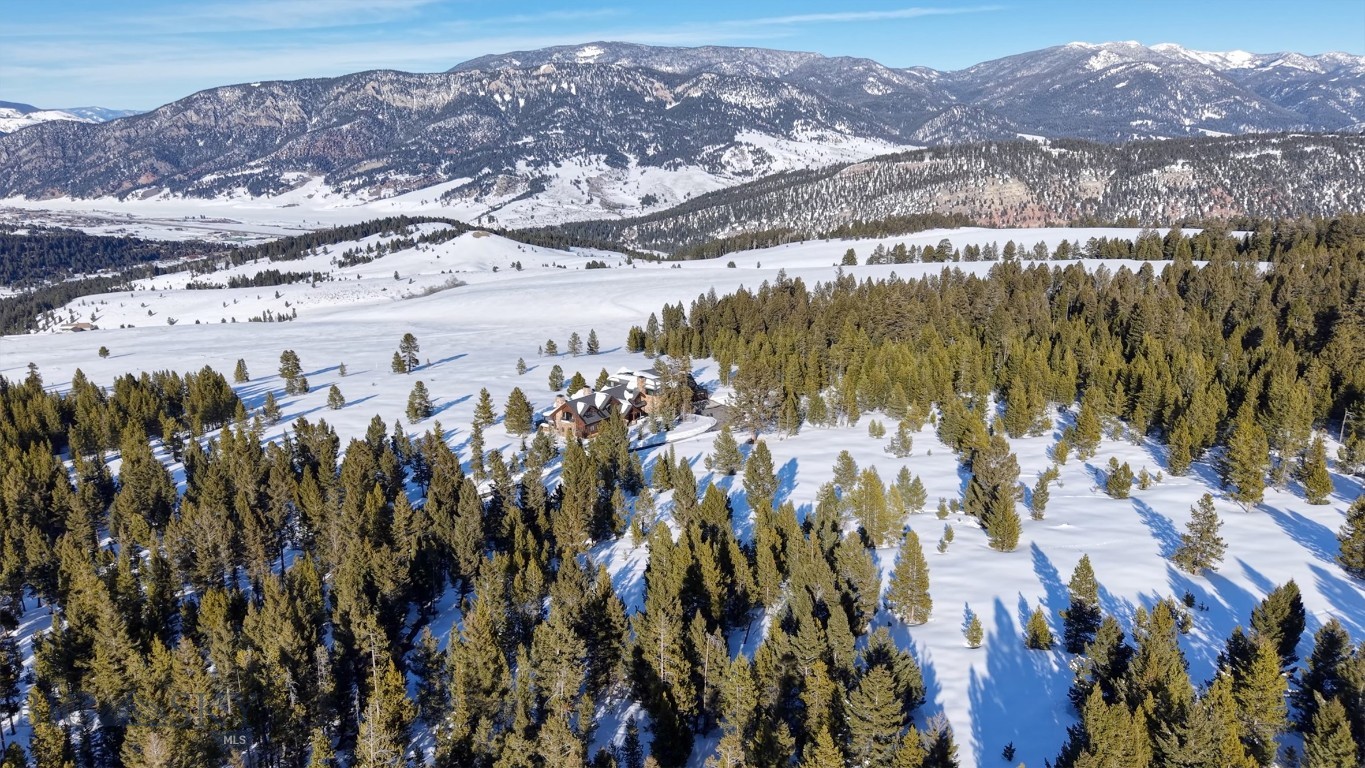 1200 Towering Pines
