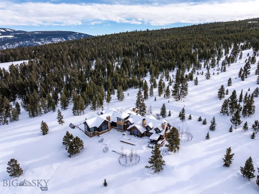 1200 Towering Pines