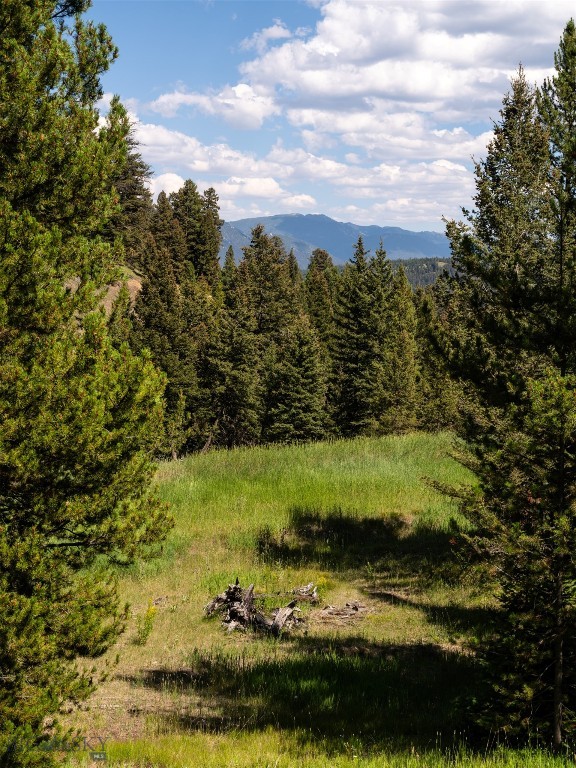 Lot 103 W Elk Valley Road