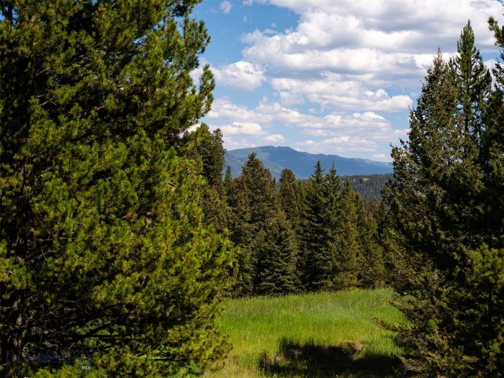 Lot 103 W Elk Valley Road