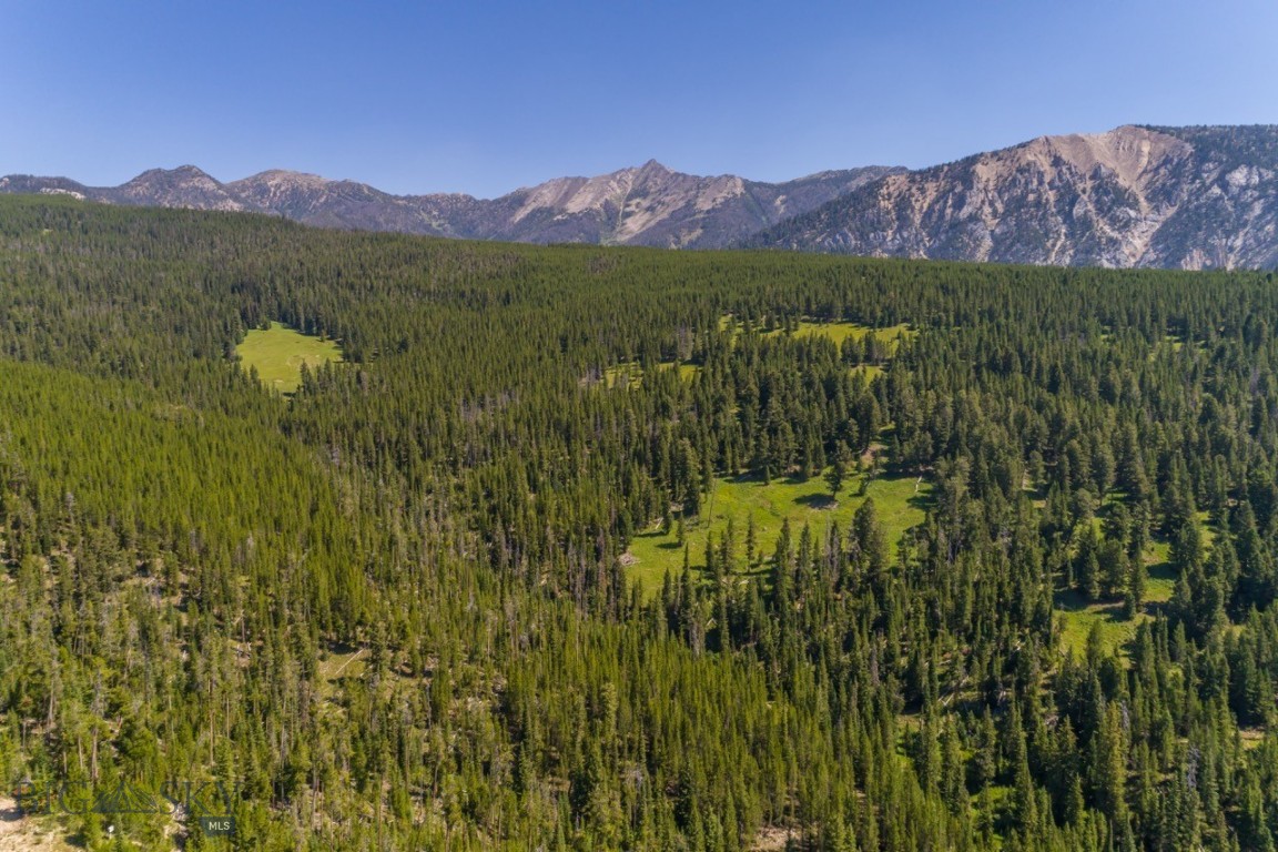 TBD Ridge Fork Road