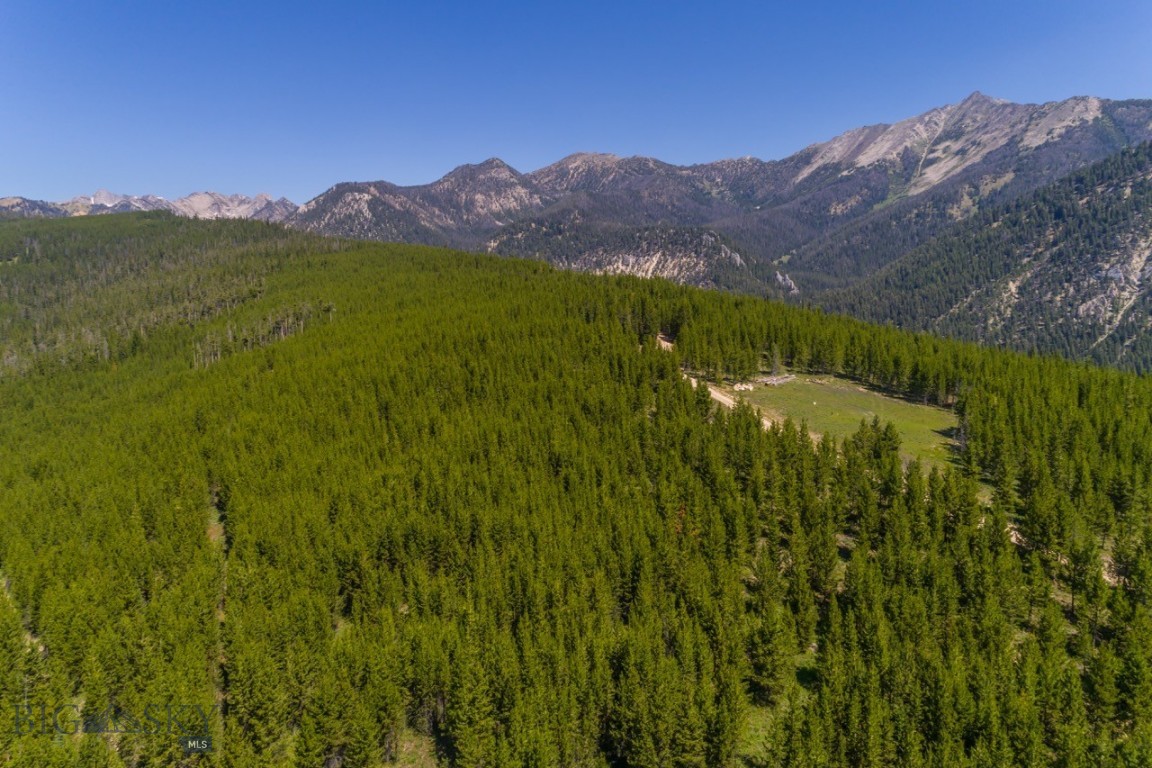 TBD Ridge Fork Road