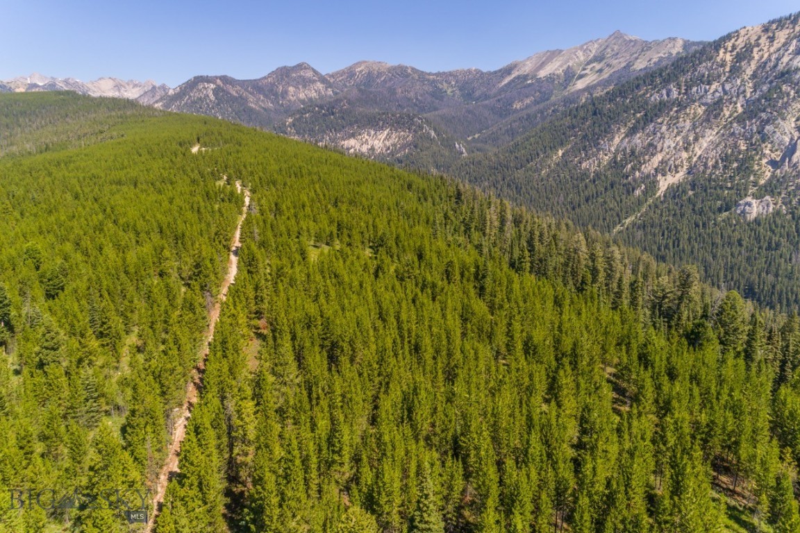 TBD Ridge Fork Road