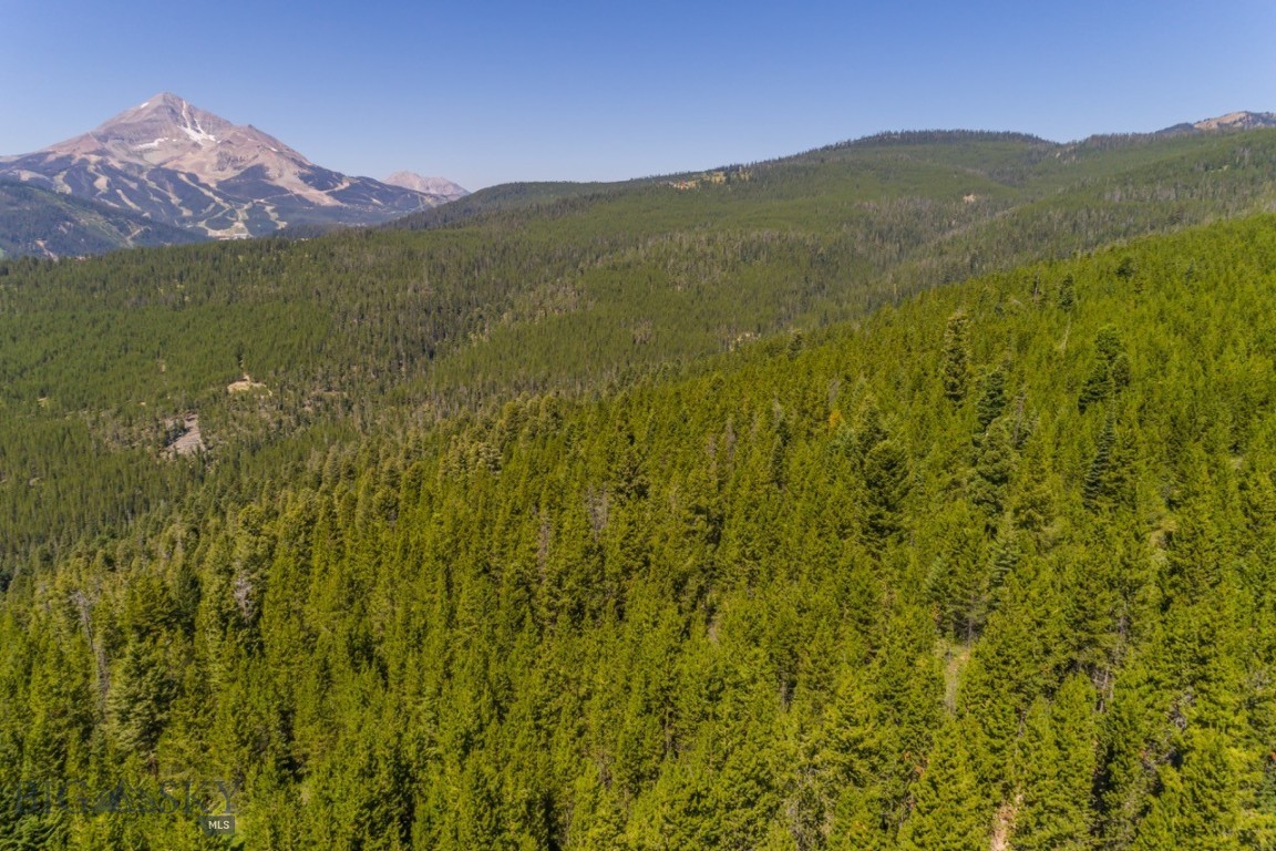 TBD Ridge Fork Road