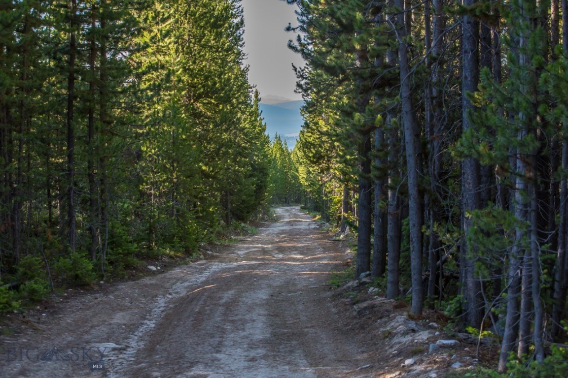 TBD Ridge Fork Road
