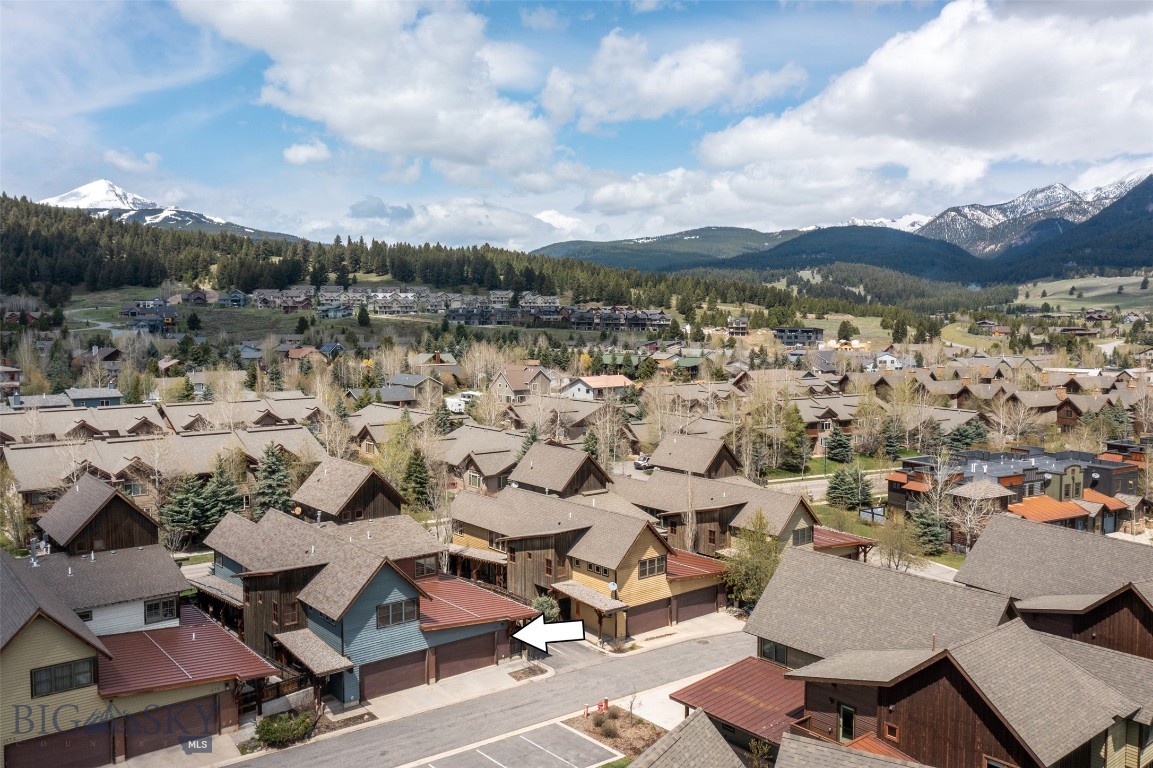 151B Pheasant Tail B