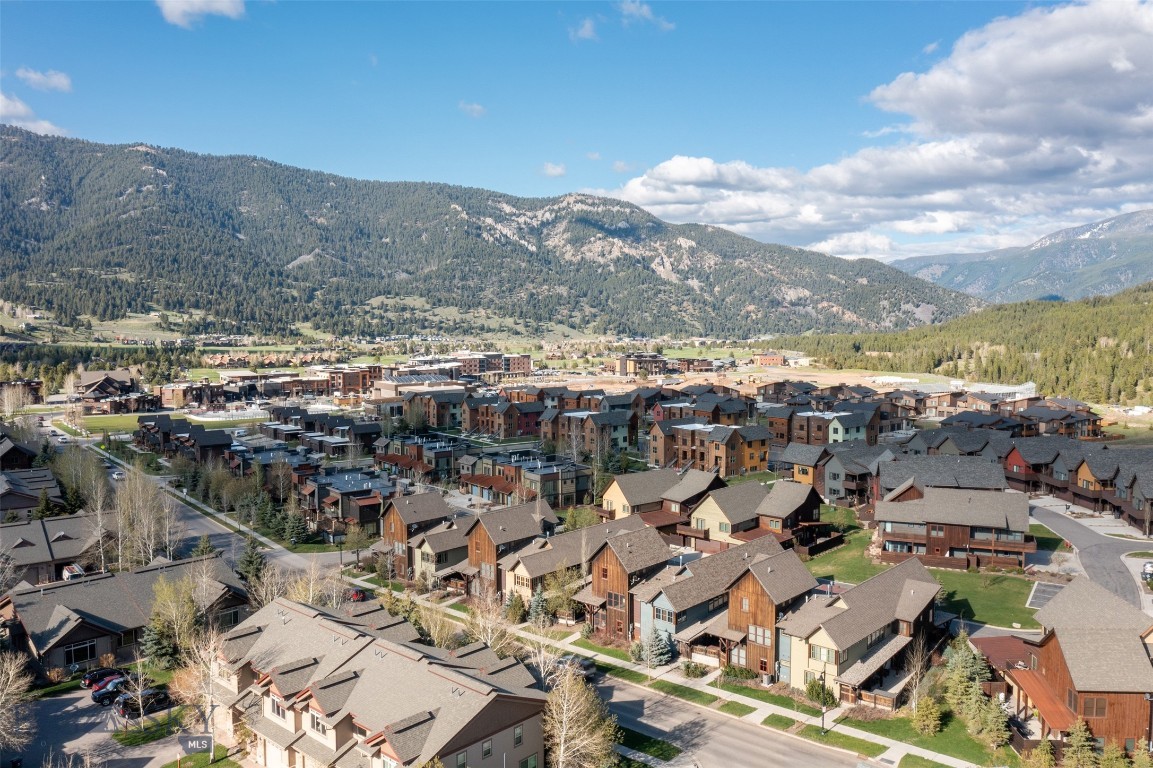 151B Pheasant Tail B