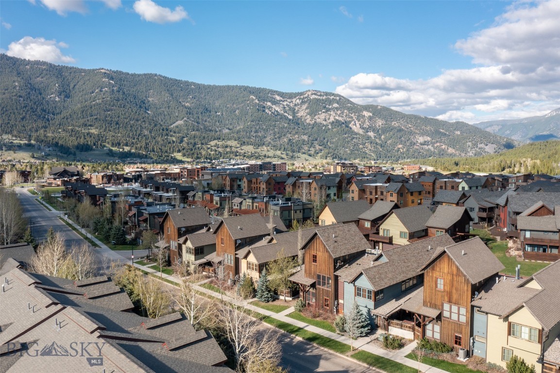 151B Pheasant Tail B