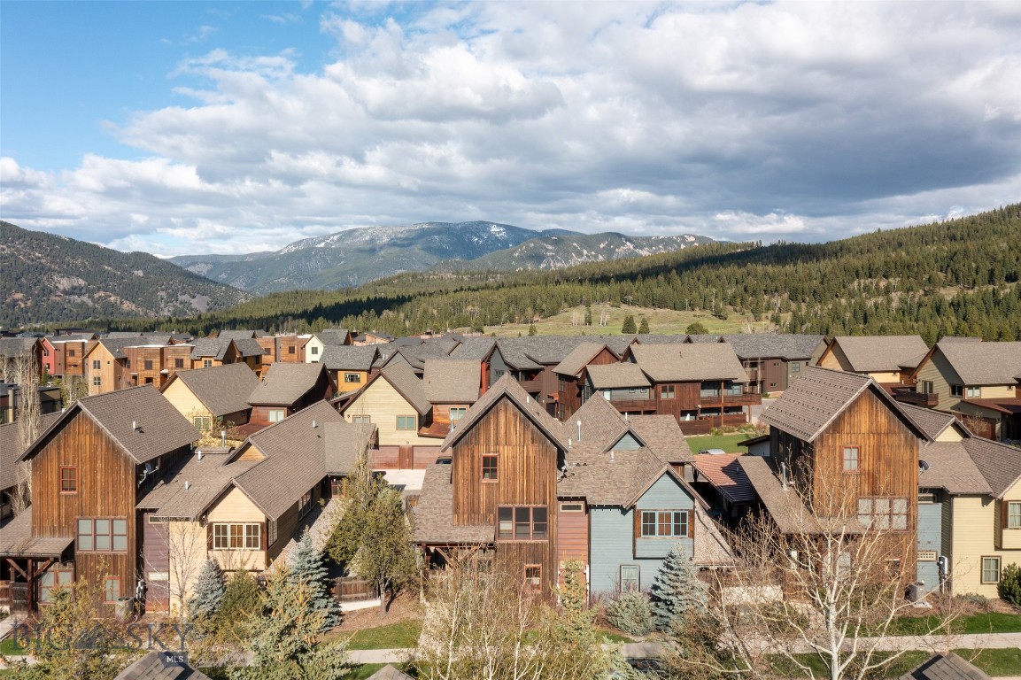 151B Pheasant Tail B